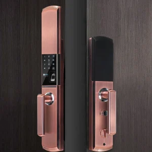 Smart Door Locks & Gate Locks